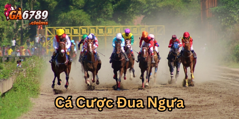 Cá Cược Đua Ngựa là gì?