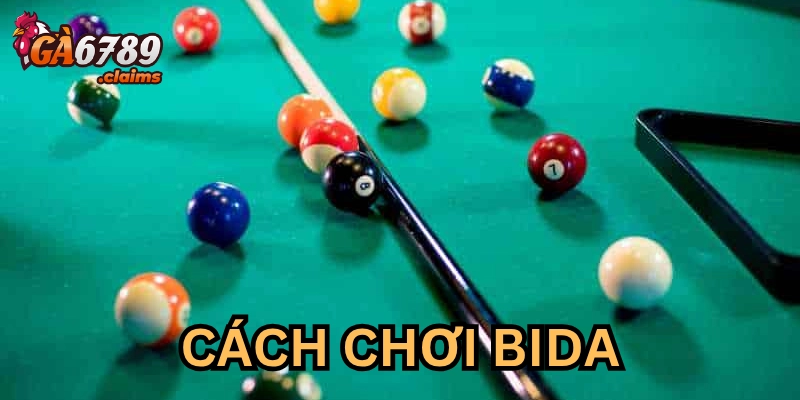 Các vũ khí để chơi bida