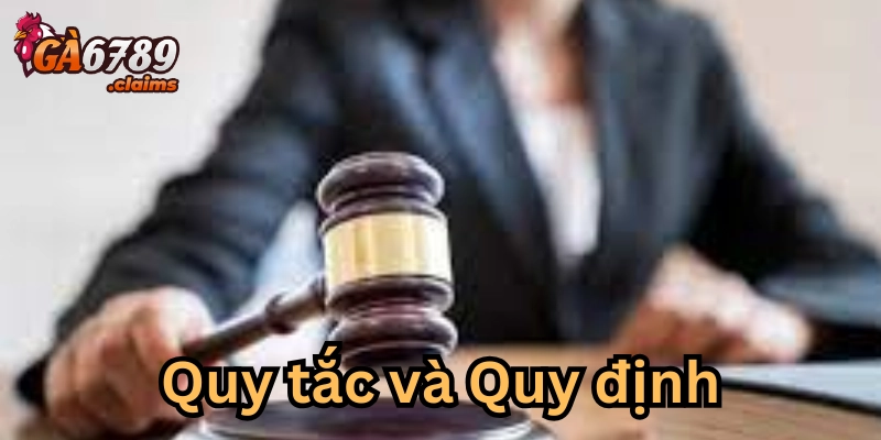 Chi tiết về quy trình khiếu nại