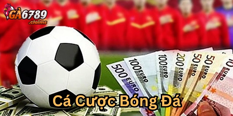 Chiến lược và quản lý vốn