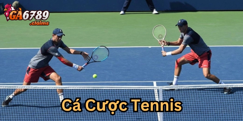 Công cụ và nguồn thông tin