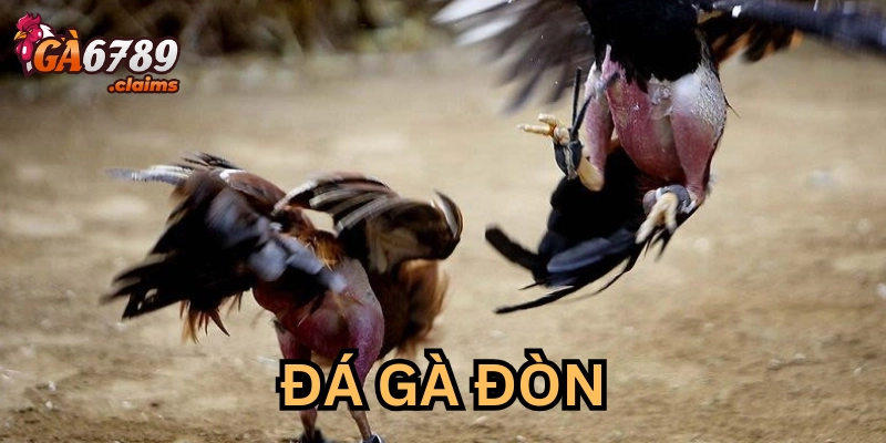 Giải thích đá gà đòn