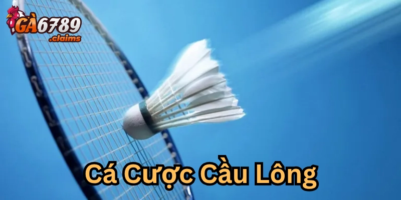 Khái niệm cá cược cầu lông