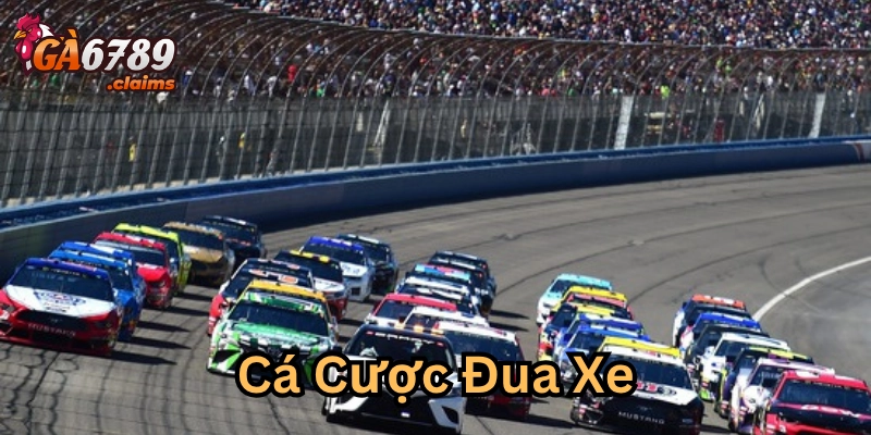 Lời khuyên vàng khi chơi Cá Cược Đua Xe