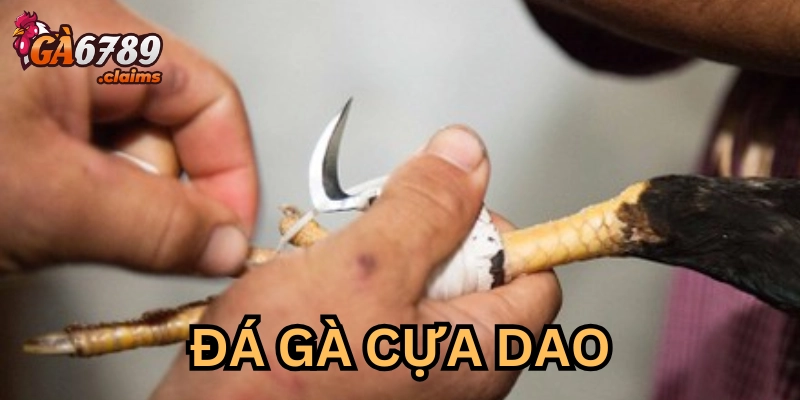 Luật chơi có dễ không?