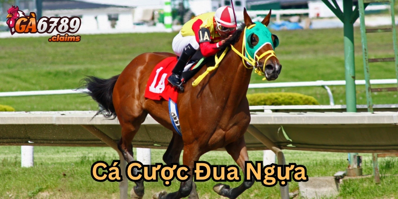 Mẹo vàng chinh phục Cá Cược Đua Ngựa