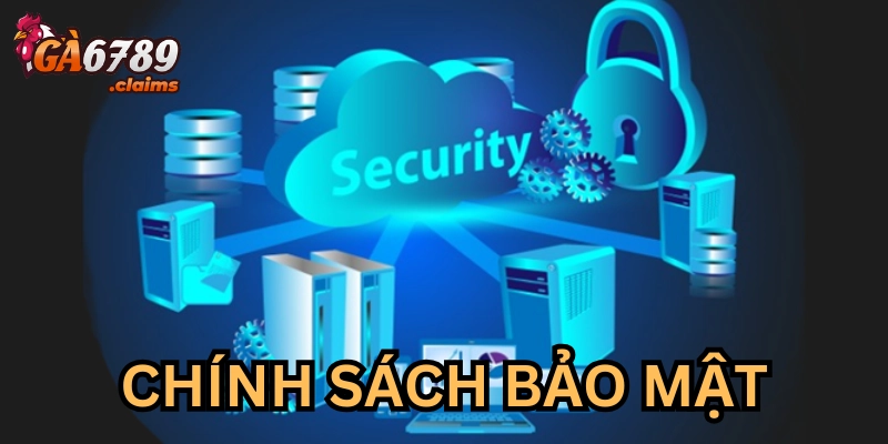 Người chơi có quyền gì từ chính sách bảo mật?