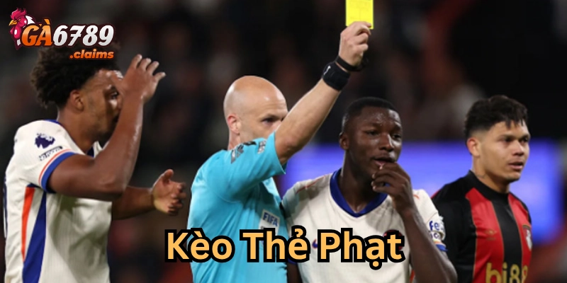 Những hình thức cược thông dụng