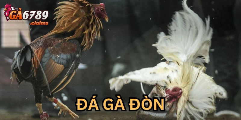 Sai lầm dẫn đến chí mạng