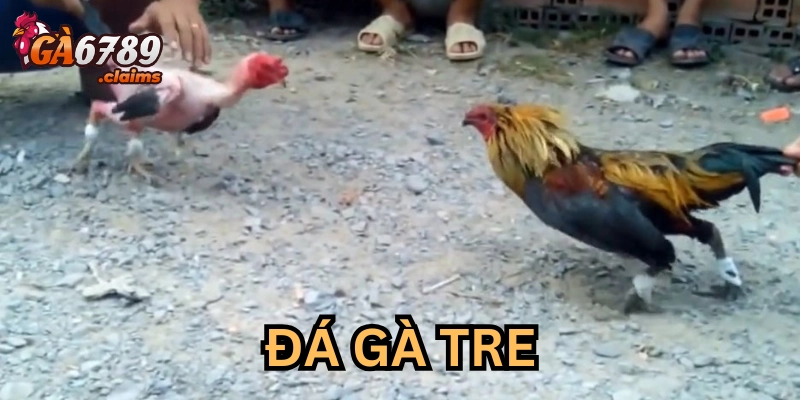 Xây dựng chiến lược cược