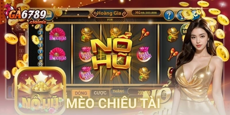 Hướng dẫn chọn và bảo quản mèo chiêu tài